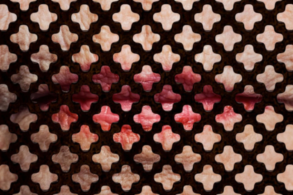 Coral Celestial – 2013 Coral Celestial – 2013